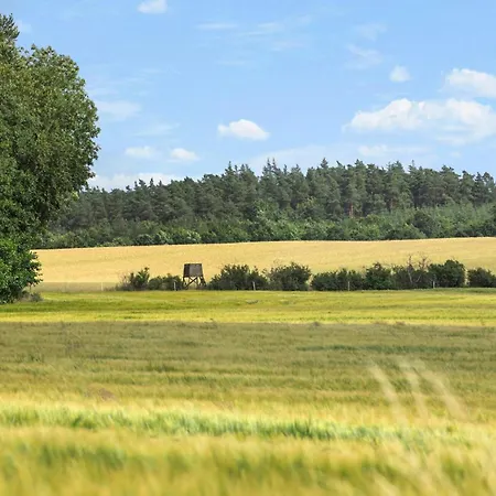 Nyaraló Gorgeous In