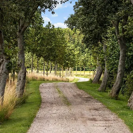 Gorgeous In Glesborg