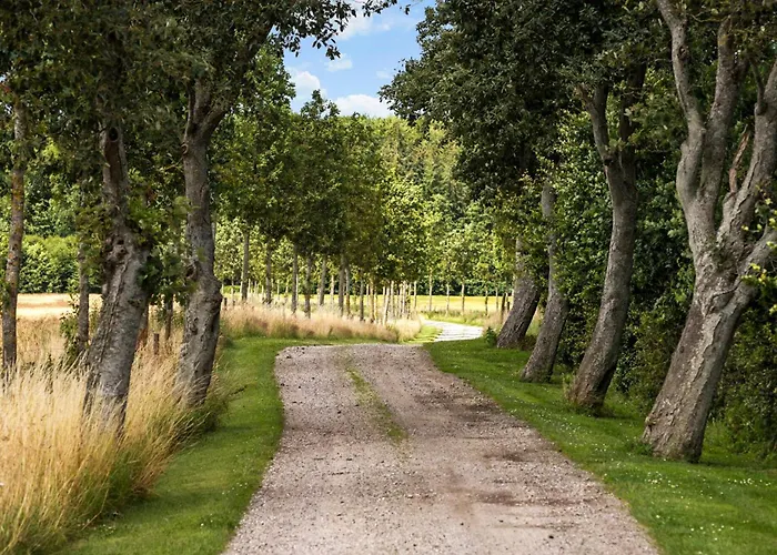 Gorgeous In Glesborg